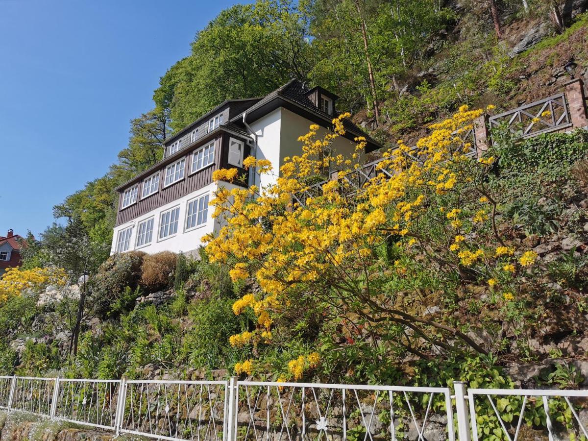 Villa Belvedere Rathen Exterior photo